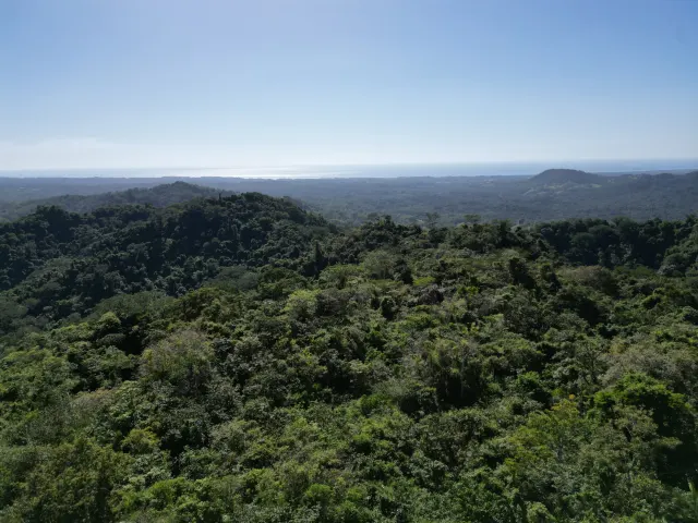 Spectacular Farm for Sale in Cobano, Puntarenas: Ocean Views to Santa Teresa, Lush Nature, and Included Waterfall