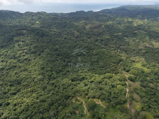 Finca de Desarrollo Premium con Vista al Océano en Cabuya – 58.6 Hectáreas con Infraestructura y Potencial Excepcional