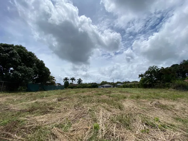 Prime Buildable Lot in La Guacima, Alajuela Los Reyes