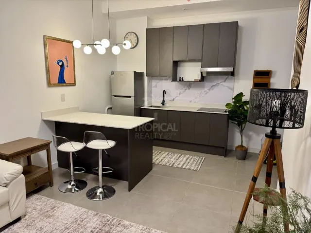 Alquiler Penthouse moderno en Barrio Escalante – | Vida urbana con vista panorámica