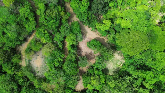 Exclusive 5,376 m² Macro-Lot: Your Private Nature Sanctuary in Lomas Del Mar, Guanacaste
