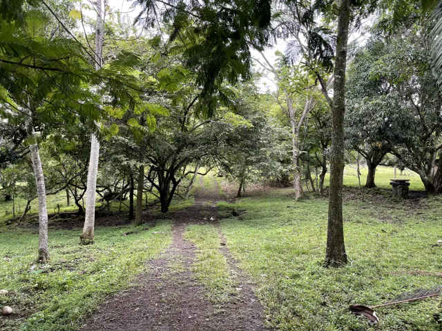 La Garita Alajuela, propiedad para desarrollo 6.2 hectareas