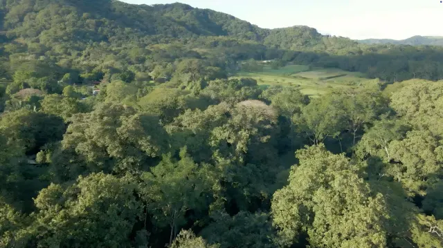 Terreno de 4.5 Hectáreas en Venta en Curime, Nicoya | Con Ríos, Frente a Calle y Zona Azul