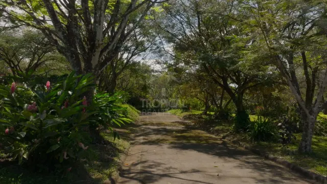 Terreno para Desarrollo en La Guácima , Alajuela
