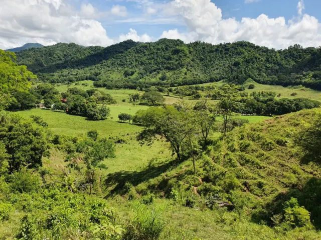 Finca de 349.4 hectareas en la Zona Azul del Golfo de Nicoya – Un Santuario de Naturaleza y Tranquilidad
