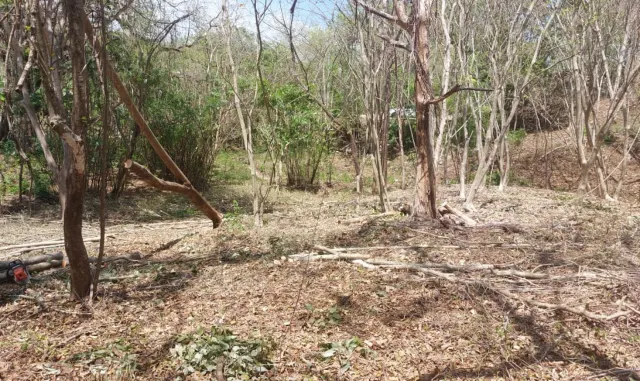 Terreno en Venta en Playa Garza, Nosara, Guanacaste