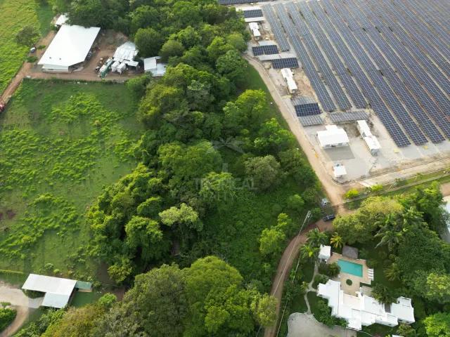 Vista aérea que muestra un terreno verde abierto bordeado por árboles densos y adyacente a un gran conjunto de paneles solares.