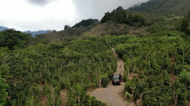 Finca en Venta en Copey de Dota